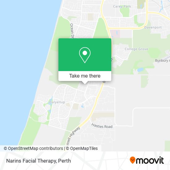 Narins Facial Therapy map