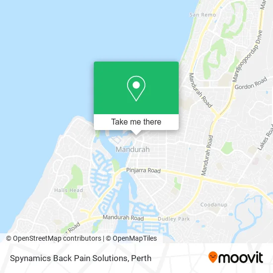Mapa Spynamics Back Pain Solutions
