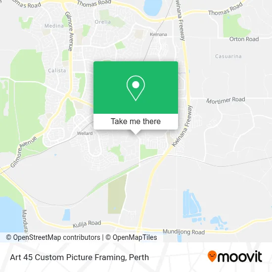 Mapa Art 45 Custom Picture Framing