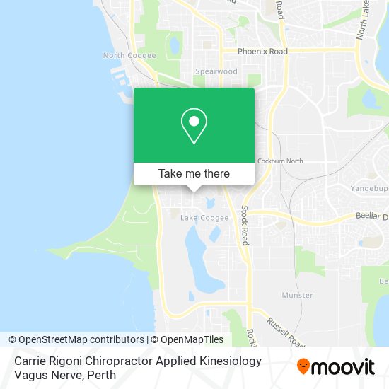 Carrie Rigoni Chiropractor Applied Kinesiology Vagus Nerve map