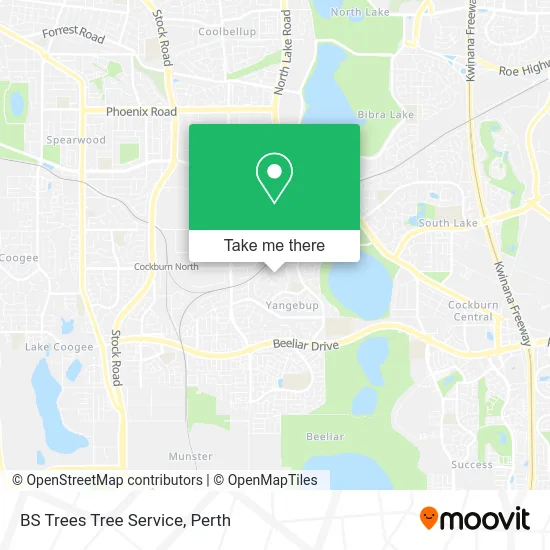 Mapa BS Trees Tree Service