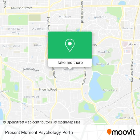 Present Moment Psychology map