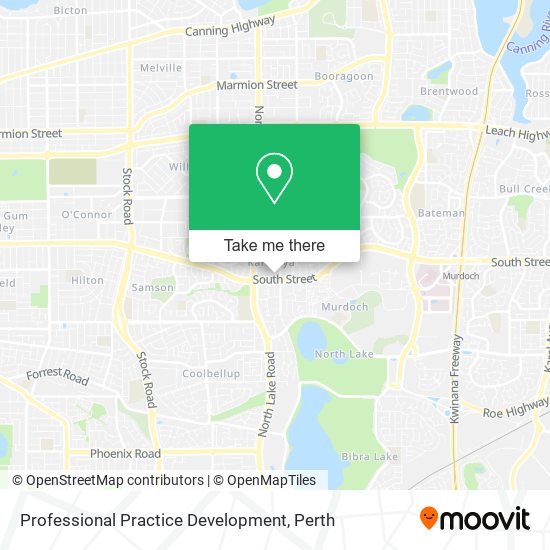 Professional Practice Development map