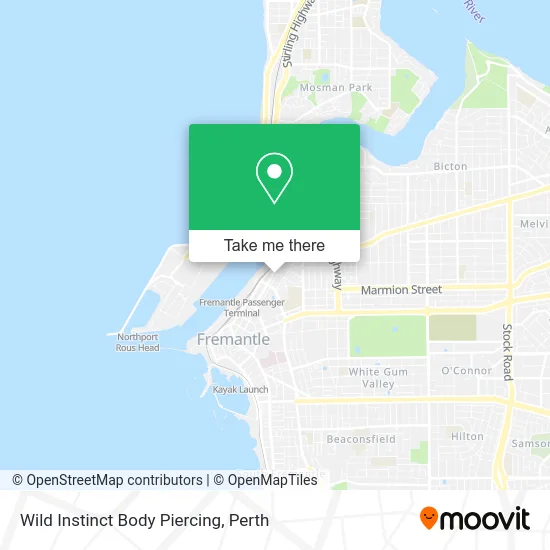 Mapa Wild Instinct Body Piercing