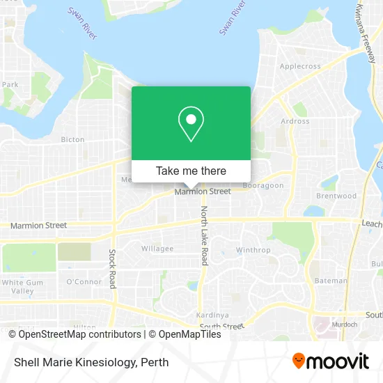 Mapa Shell Marie Kinesiology