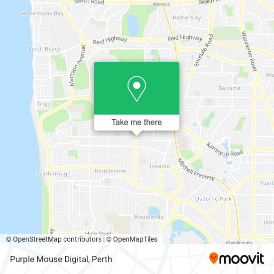 Purple Mouse Digital map