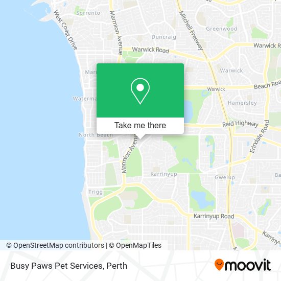 Busy Paws Pet Services map