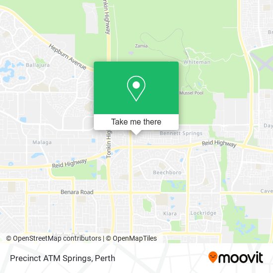 Precinct ATM Springs map