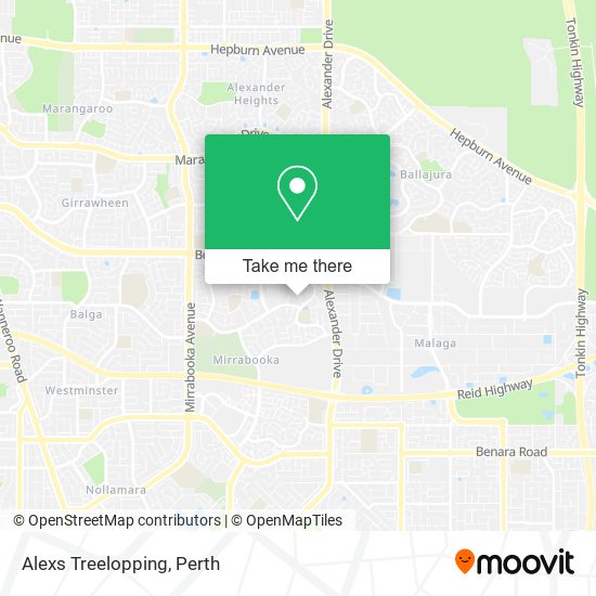 Alexs Treelopping map