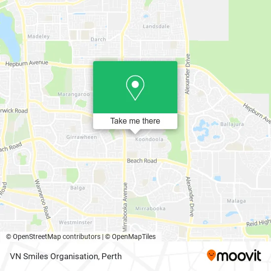 VN Smiles Organisation map