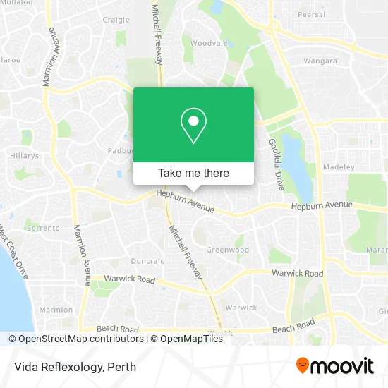 Vida Reflexology map