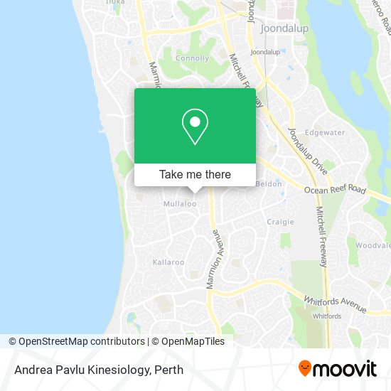 Andrea Pavlu Kinesiology map