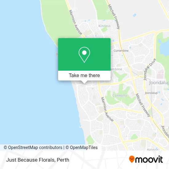 Mapa Just Because Florals