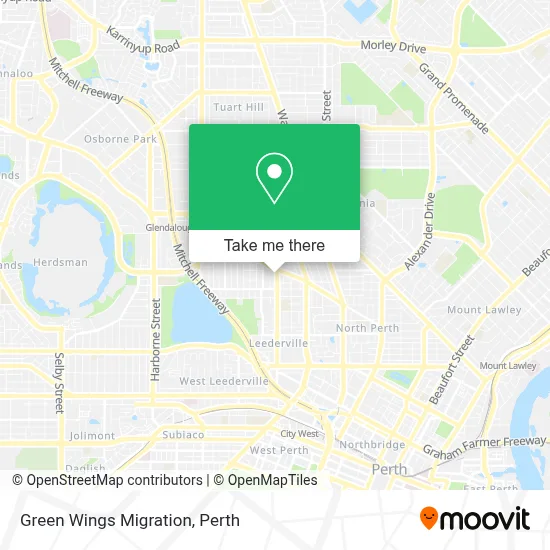 Mapa Green Wings Migration