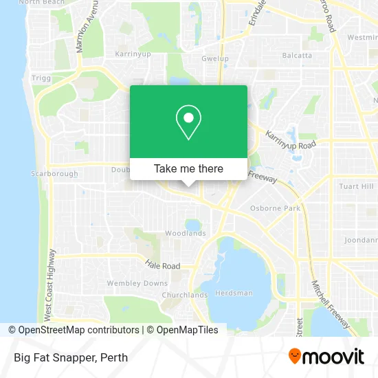 Mapa Big Fat Snapper