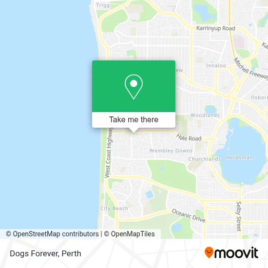 Dogs Forever map