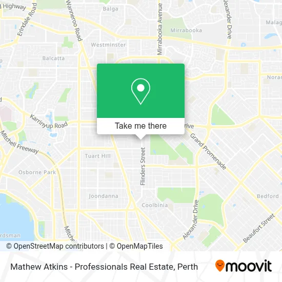 Mapa Mathew Atkins - Professionals Real Estate
