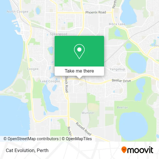 Cat Evolution map