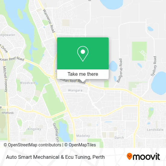 Auto Smart Mechanical & Ecu Tuning map