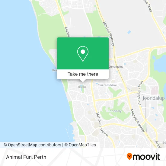 Animal Fun map