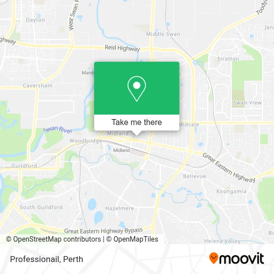 Professionail map