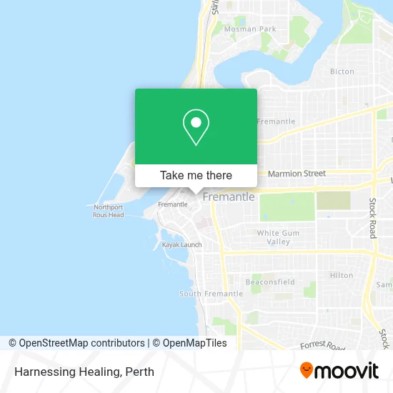 Mapa Harnessing Healing