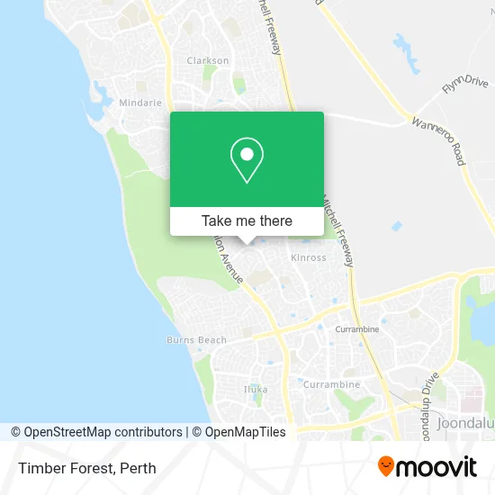 Mapa Timber Forest