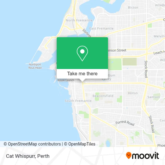 Mapa Cat Whispurr