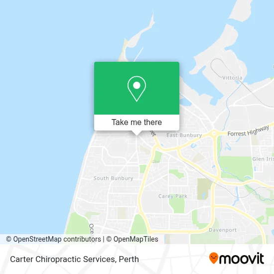 Carter Chiropractic Services map