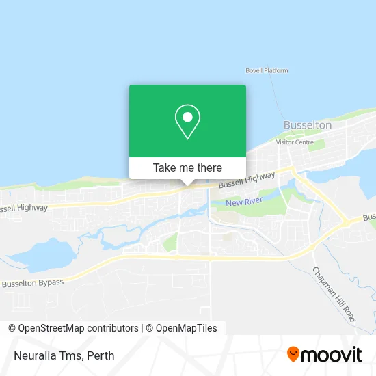 Mapa Neuralia Tms