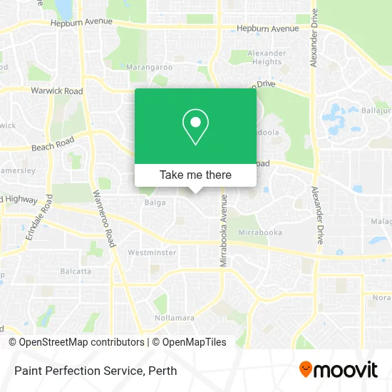 Paint Perfection Service map