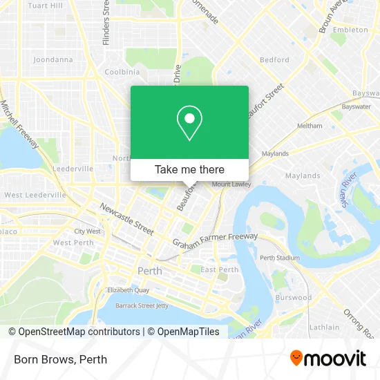 Born Brows map