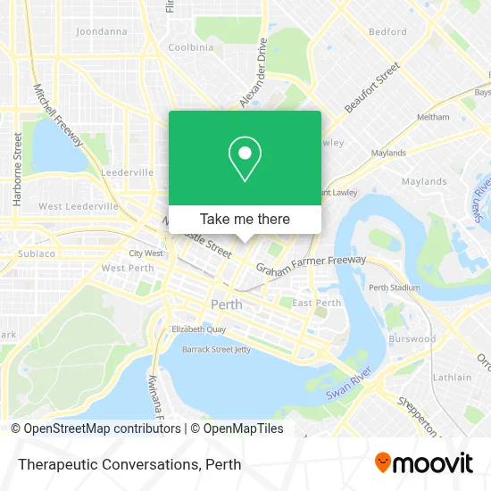 Mapa Therapeutic Conversations