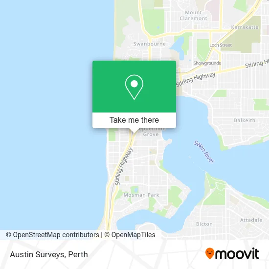 Mapa Austin Surveys