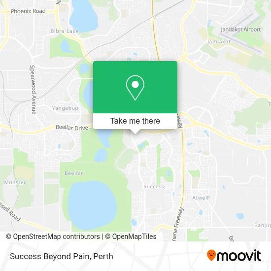 Mapa Success Beyond Pain