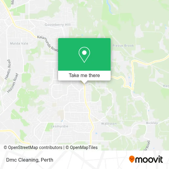 Mapa Dmc Cleaning