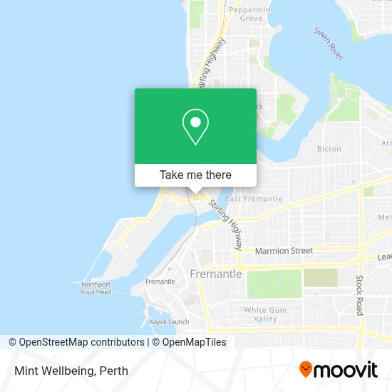 Mapa Mint Wellbeing