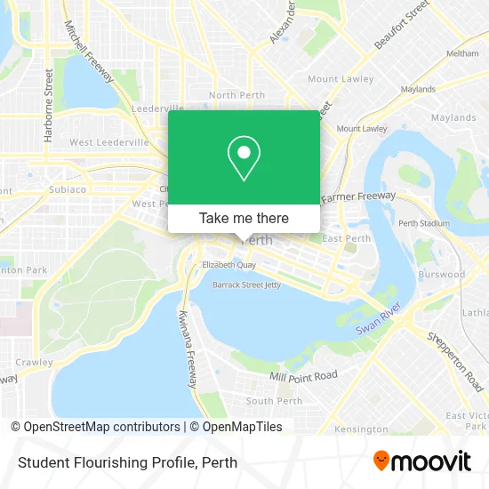Mapa Student Flourishing Profile