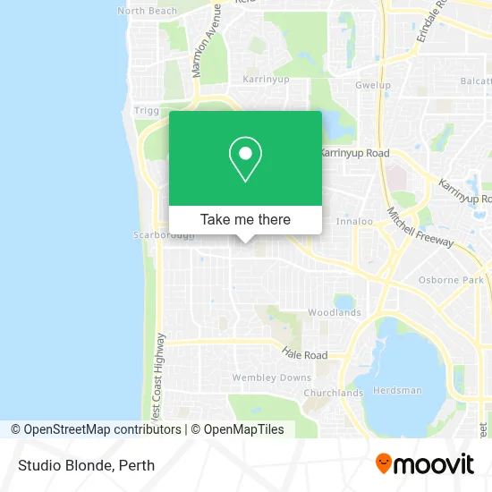 Mapa Studio Blonde