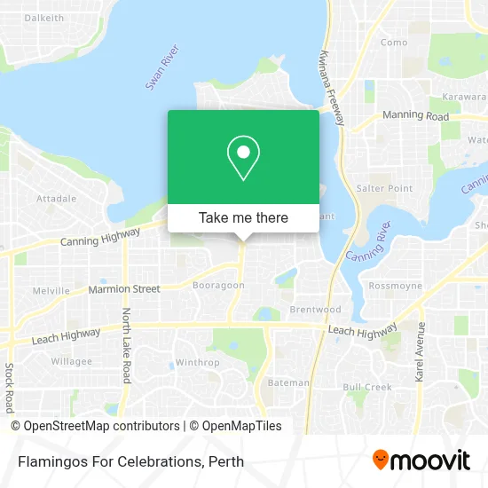 Mapa Flamingos For Celebrations
