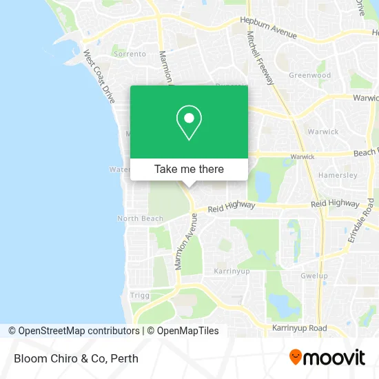 Bloom Chiro & Co map