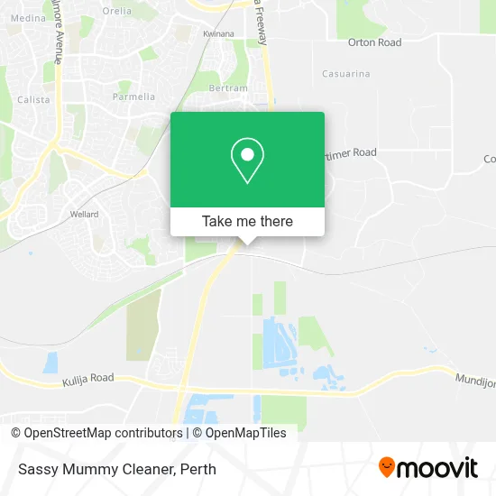Mapa Sassy Mummy Cleaner