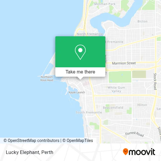 Mapa Lucky Elephant