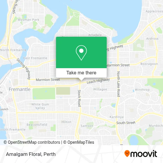 Mapa Amalgam Floral