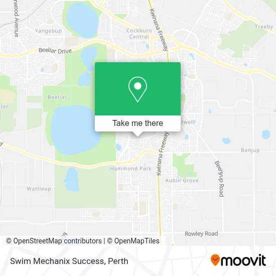 Mapa Swim Mechanix Success