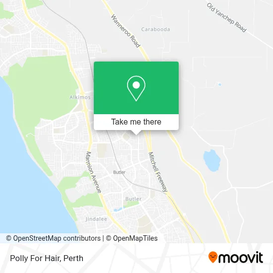 Mapa Polly For Hair