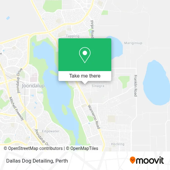 Mapa Dallas Dog Detailing