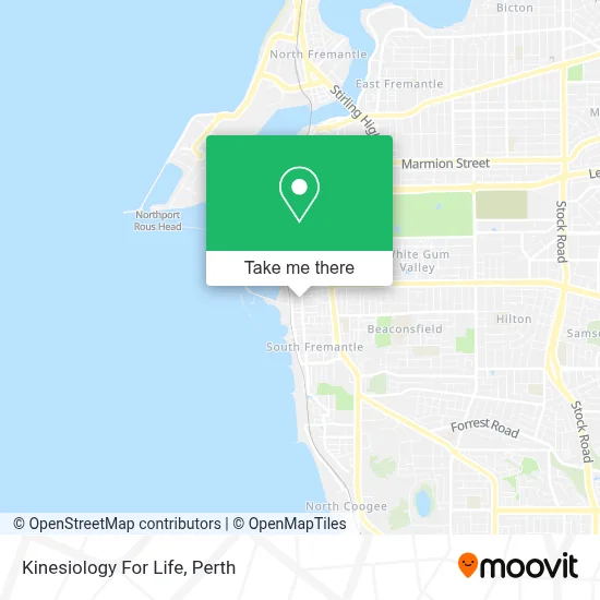 Mapa Kinesiology For Life