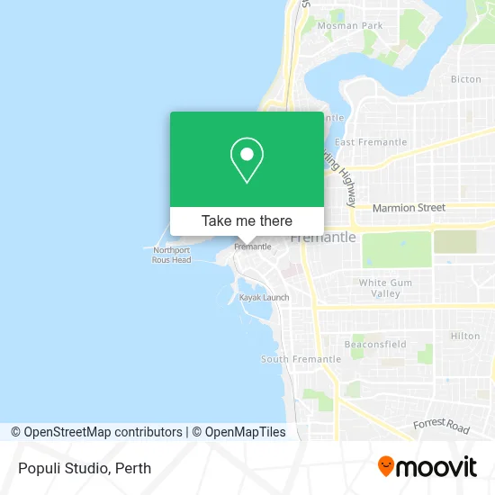 Mapa Populi Studio