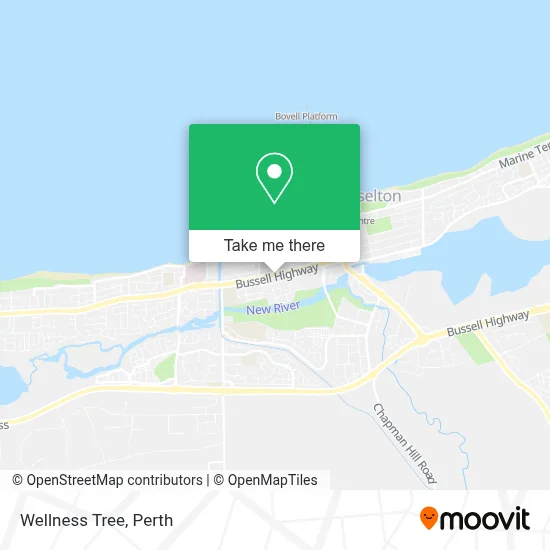 Mapa Wellness Tree